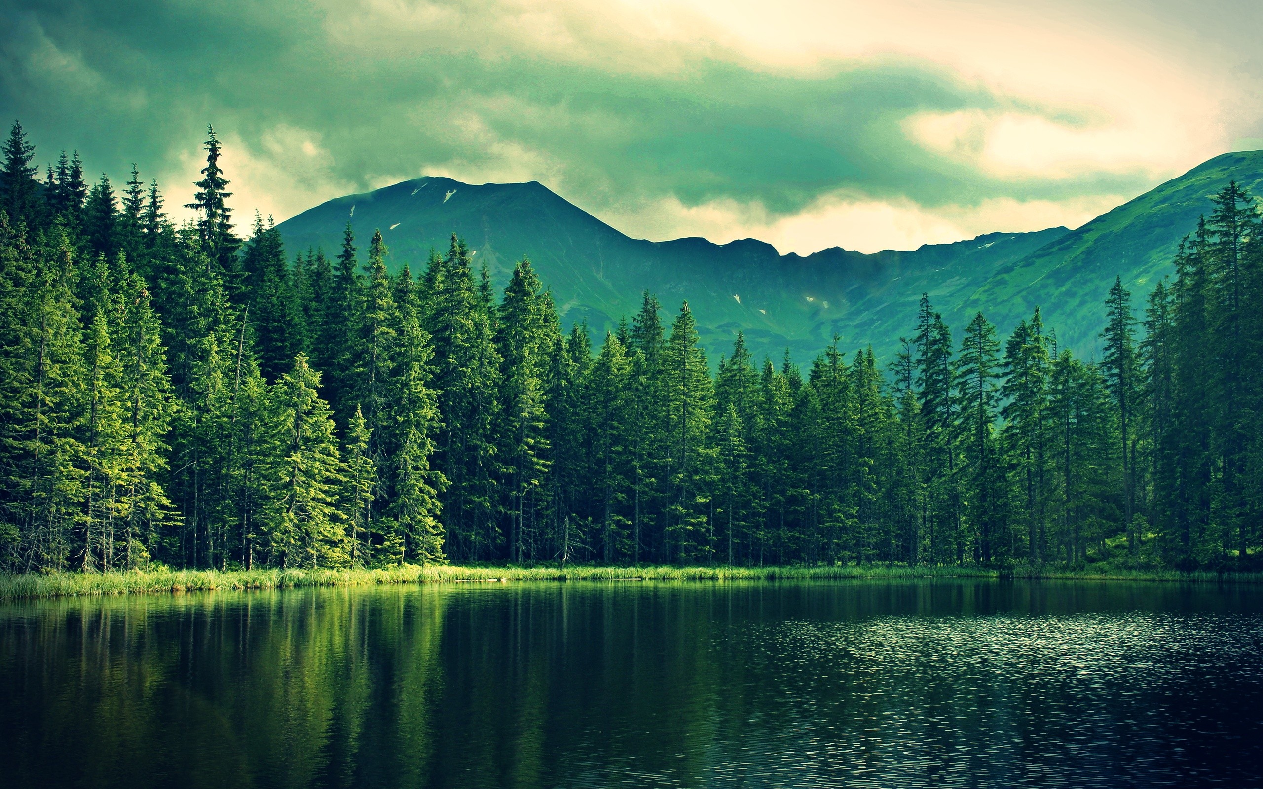 1920 x 1080 HD Wallpapers 2621